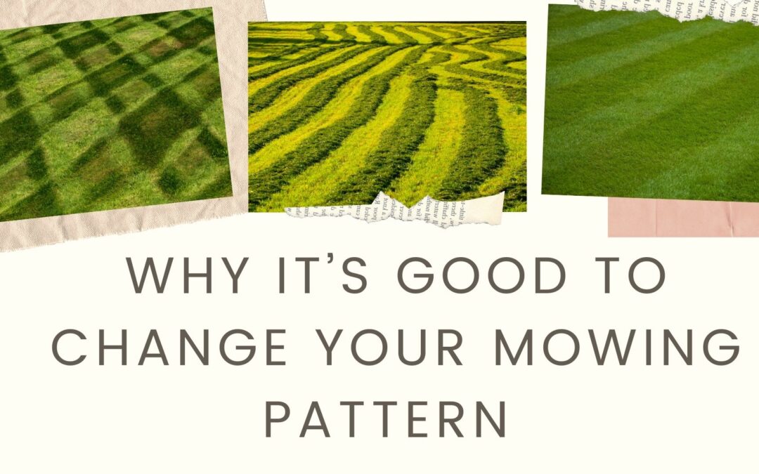 Why It’s Good to Change Your Mowing Pattern