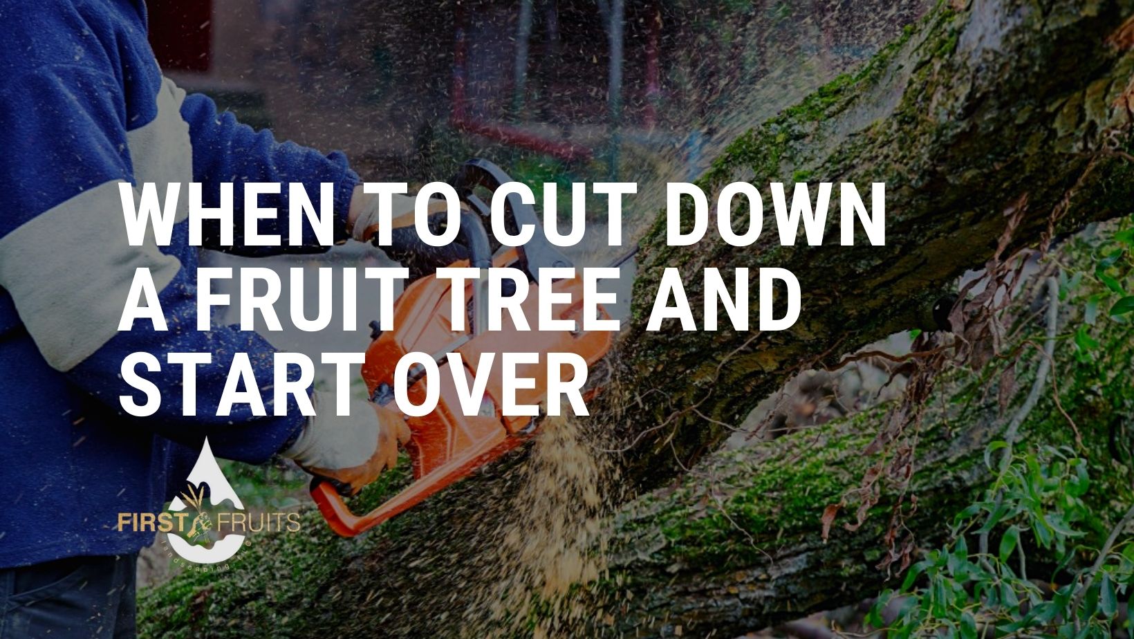 When to Cut Down a Fruit Tree and Start Over