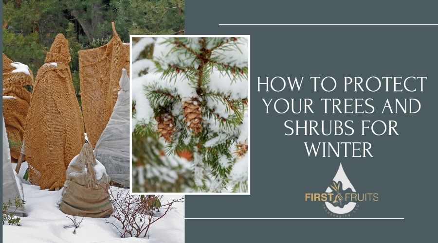 How To Protect Your Trees and Shrubs for Winter