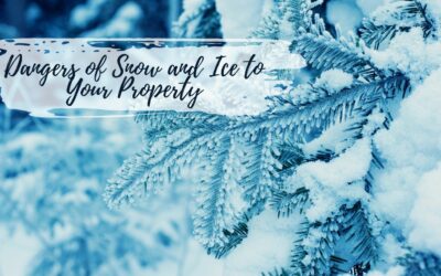 Dangers of Snow and Ice to Your Property