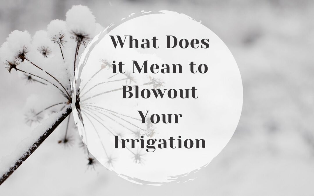 What Does it Mean to Blowout Your Irrigation