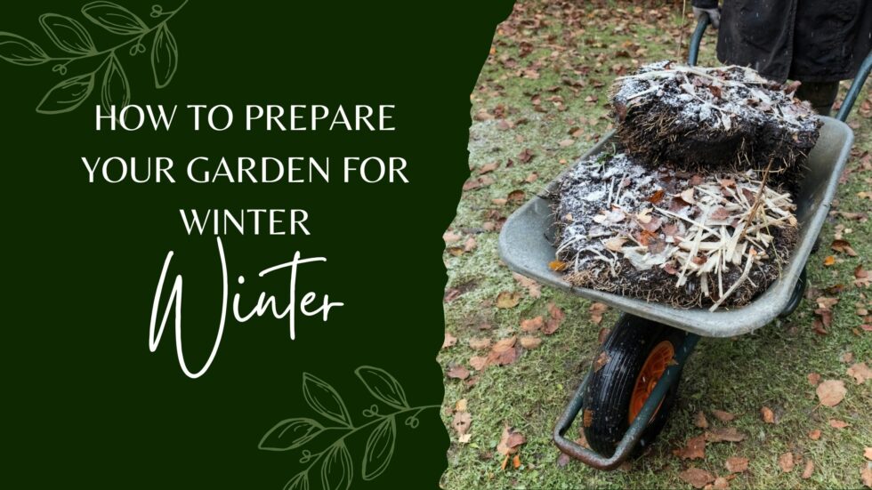 How To Prepare Your Garden For Winter | First Fruits