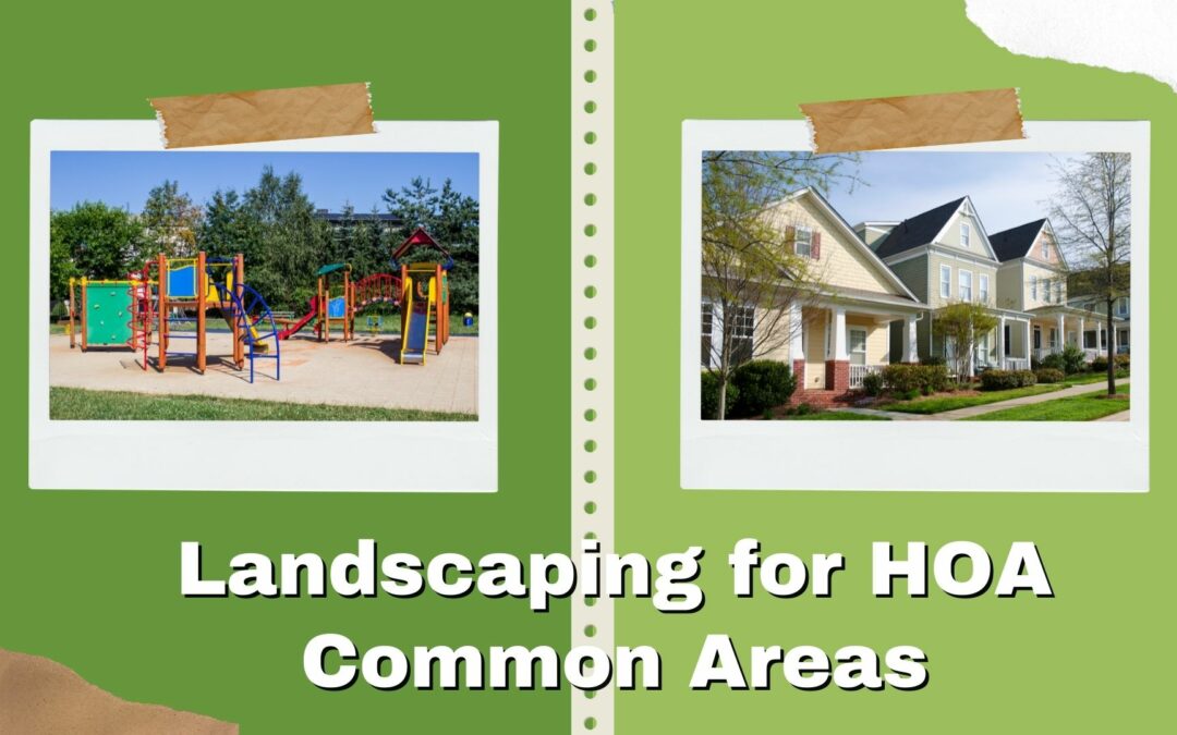 Landscaping for HOA Common Areas