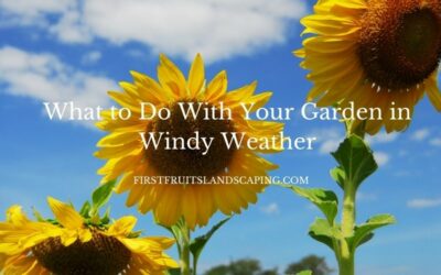 What to Do With Your Garden in Windy Weather