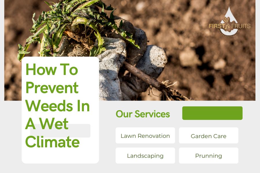 How To Prevent Weeds In A Wet Climate