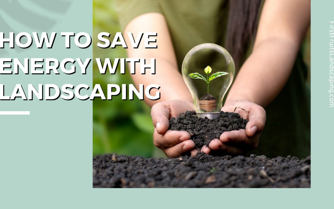 How to Save Energy with Landscaping