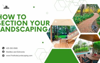 How To Section Your Landscaping