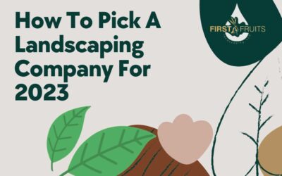 How To Pick A Landscaping Company For 2023