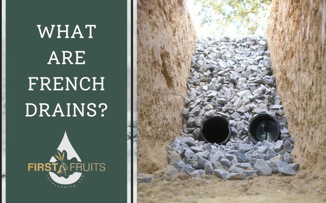 What are French Drains?