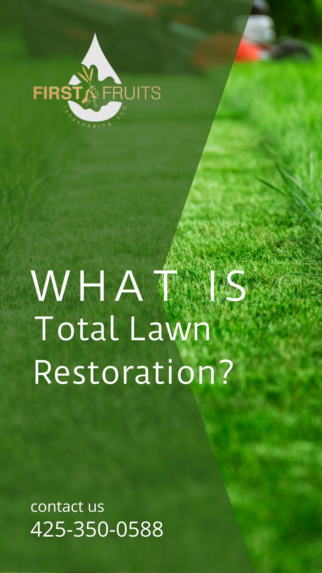 What Is Total Lawn Restoration?