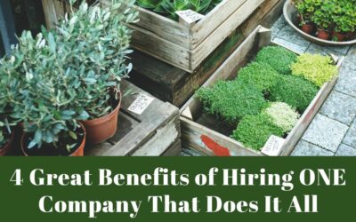 4 Great Benefits of Hiring ONE Company That Does It All