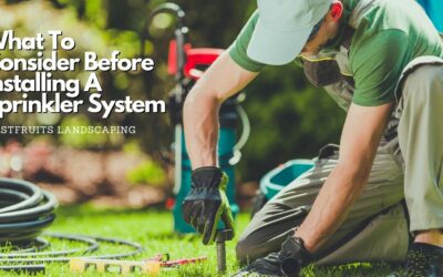 What To Consider Before Installing A Sprinkler System