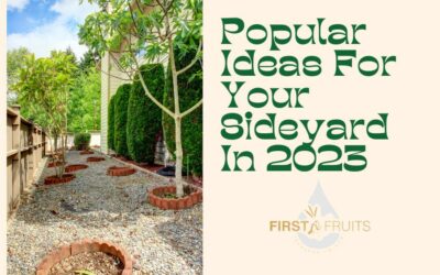 Popular Ideas For Your Sideyard In 2023