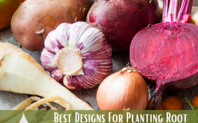 Best Designs For Planting Root Vegetables In Your Garden Bed