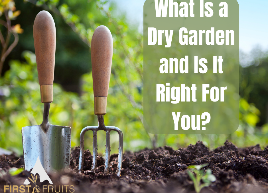 What Is A Dry Garden and Is It Right For You?