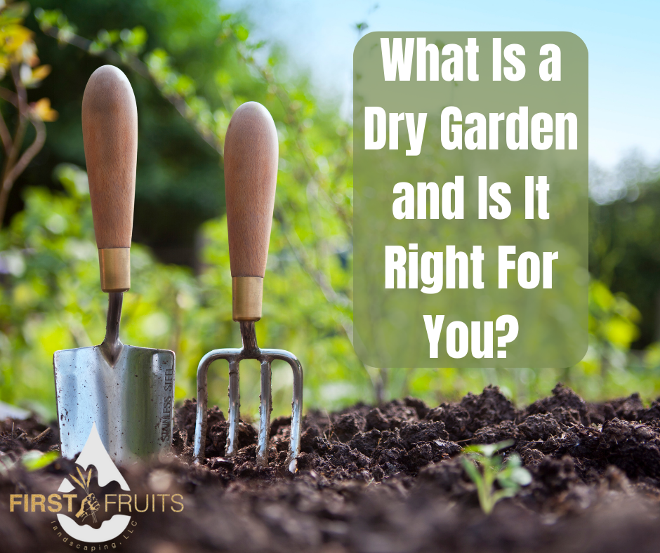 what-is-a-dry-garden-and-is-it-right-for-you