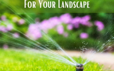 Different Watering Systems For Your Landscape
