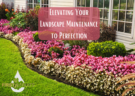 Elevating Your Landscape Maintenance to Perfection