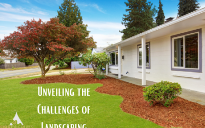 Unveiling the Challenges of Landscaping
