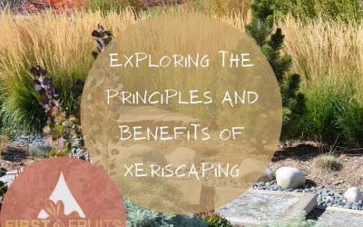 Drought-Resistant Landscaping: Exploring the Principles and Benefits of Xeriscaping