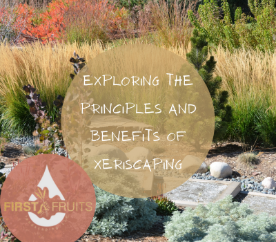 Drought-Resistant Landscaping: Exploring the Principles and Benefits of Xeriscaping