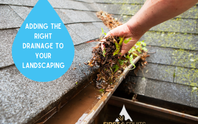Adding the Right Drainage to Your Landscaping