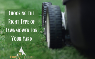 Choosing the Right Type of Lawnmower for Your Yard
