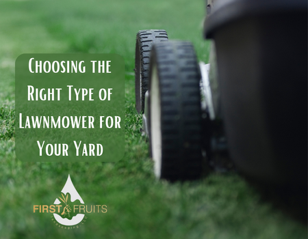 Choosing the Right Type of Lawnmower for Your Yard