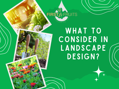 What To Consider In Landscape Design?