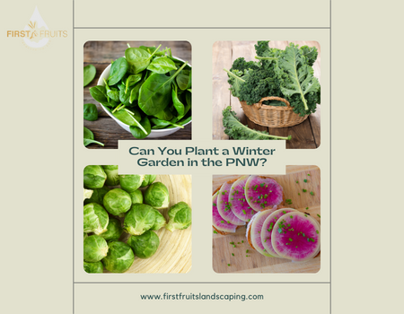 Can You Plant a Winter Garden in the PNW?