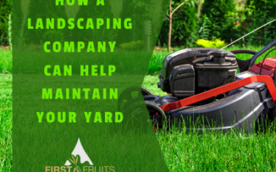 How a Landscaping Company Can Help Maintain Your Yard