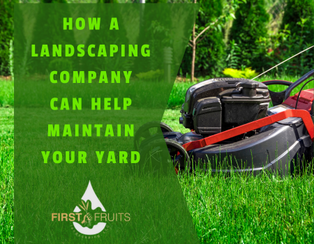 How a Landscaping Company Can Help Maintain Your Yard