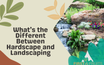 What’s the Different Between Hardscape and Landscaping