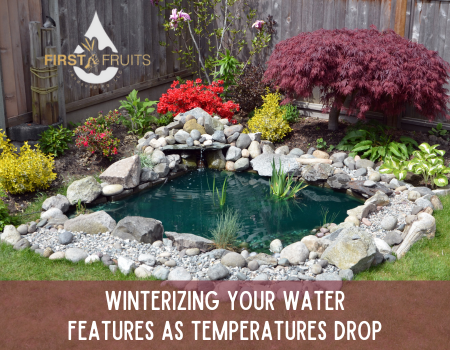 Winterizing Your Water Features as Temperatures Drop