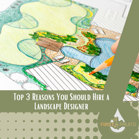 Top 3 Reasons You Should Hire a Landscape Designer