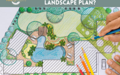 How do You Create a Landscape Plan?
