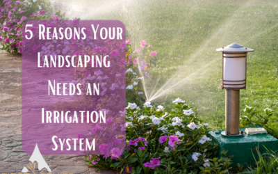 5 Reasons Your Landscaping Needs an Irrigation System