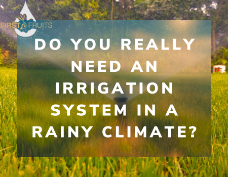 Do You Really Need an Irrigation System in a Rainy Climate?