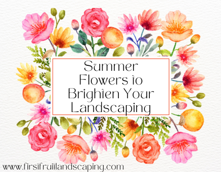 Summer Flowers to Brighten Your Landscaping