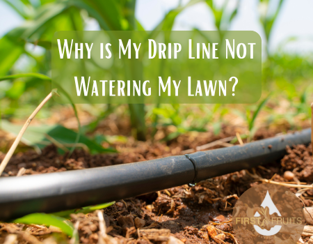 Why is My Drip Line Not Watering My Lawn?