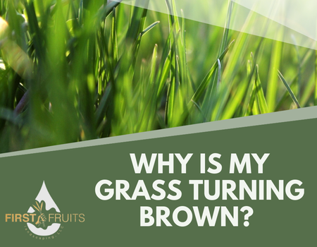 Why is My Grass Turning Brown?