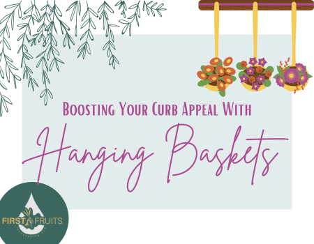 Boosting Your Curb Appeal With Hanging Baskets