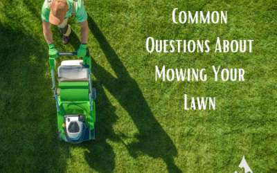 Common Questions About Mowing Your Lawn