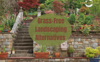 Grass-Free Landscaping Alternatives