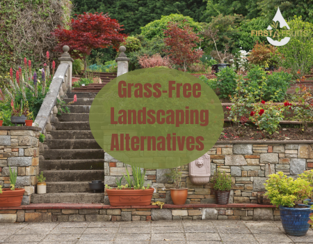 Grass-Free Landscaping Alternatives