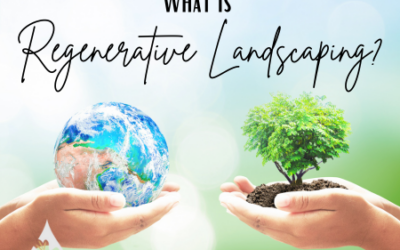 What is Regenerative Landscaping?