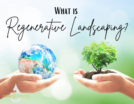 What is Regenerative Landscaping?