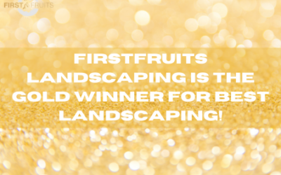 Firstfruits Landscaping is the GOLD Winner for Best Landscaping!