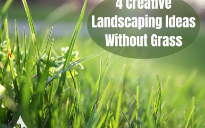 4 Creative Landscaping Ideas Without Grass