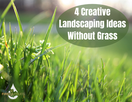 4 Creative Landscaping Ideas Without Grass